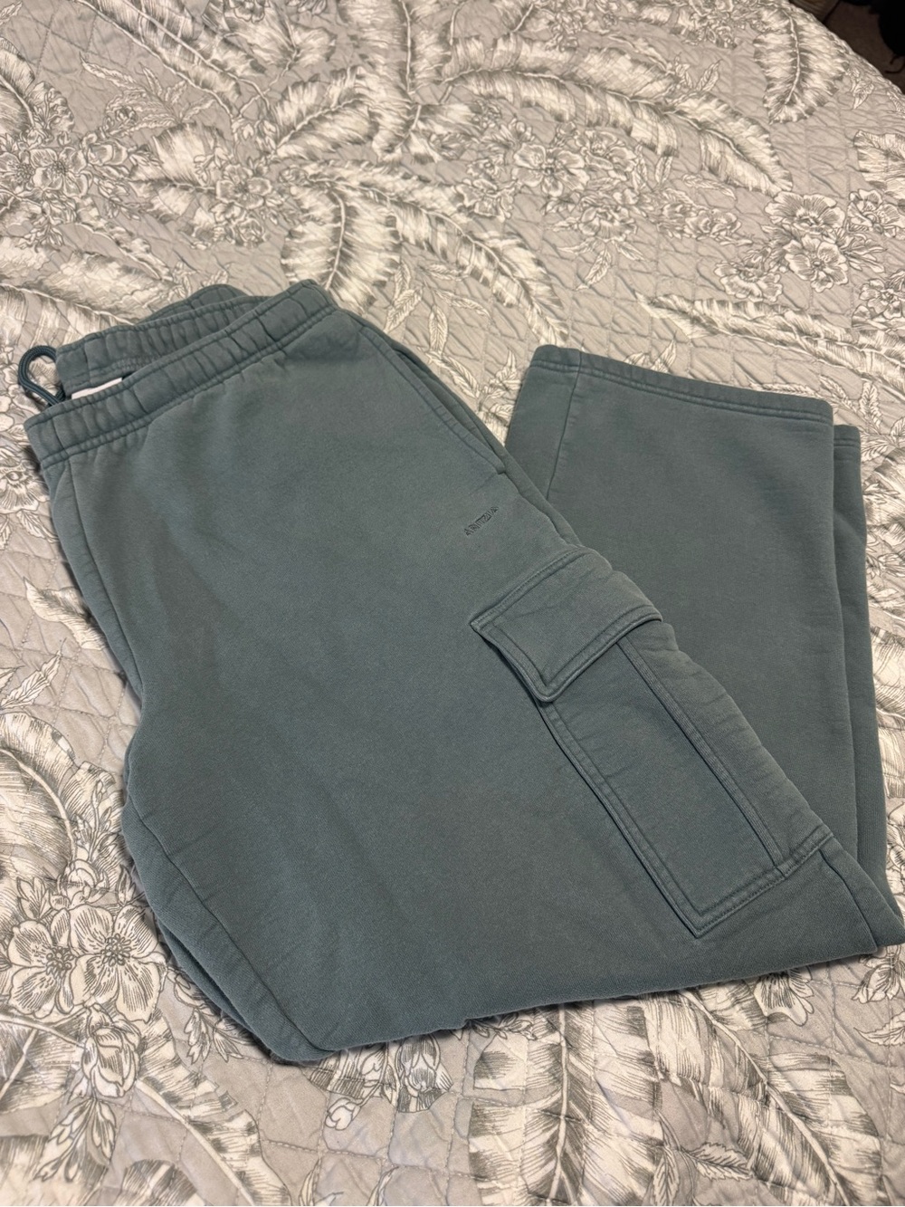 Aritzia Cargo Sweatfleece Sweatpants in Teal Green